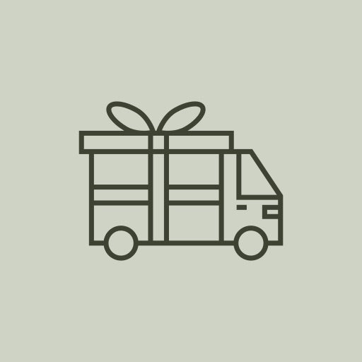 Free Shipping Icon