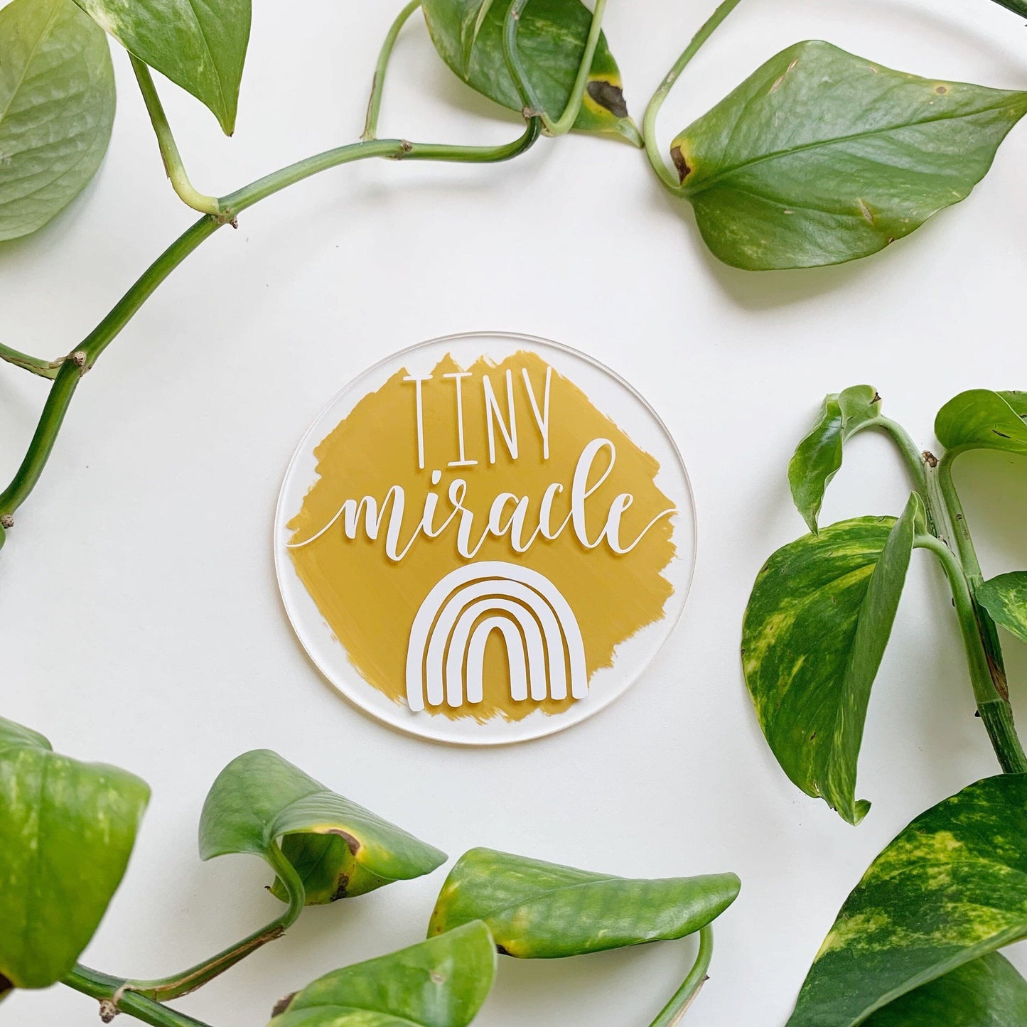 Rainbow Baby Announcement Disc / Sign - IVF