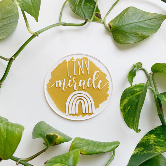 Rainbow Baby Announcement Disc / Sign - IVF