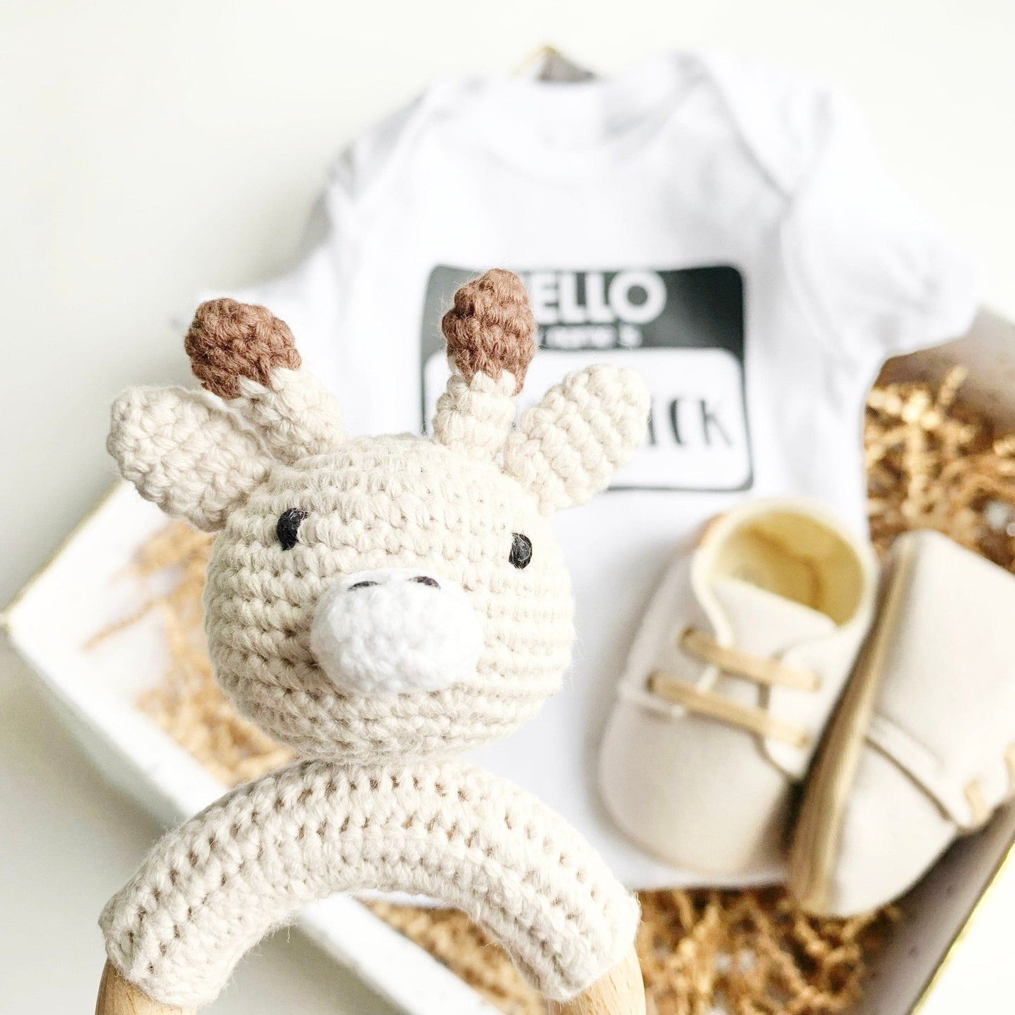 Coming Home Baby Outfit - Hello, My Name is - Baby Shoes and Rattle.