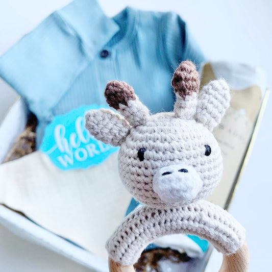 Baby Gift Box, Boy Baby Gift, Baby Shower Gift Basket, Gender Reveal kit, Baby Boy Present, New Baby Gift Set, Newborn Gift box, announce.